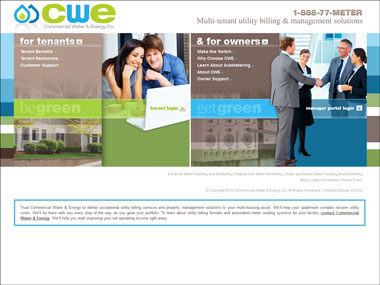 Internet Website Design for CWE