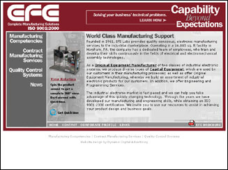 website design for EFE