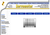 Programming Website design services for Servometer