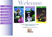 Internet website design for Piccadil
