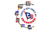 Website design services for Champions