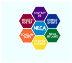 Programming Internet website design for Neca Incorporated