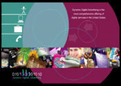 Flash website design services of Dynamic Digital Advertising Site 2001